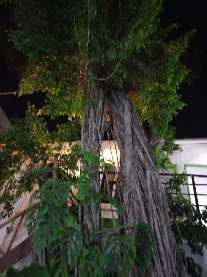 Mundo Maya Tulum Luaran gambar